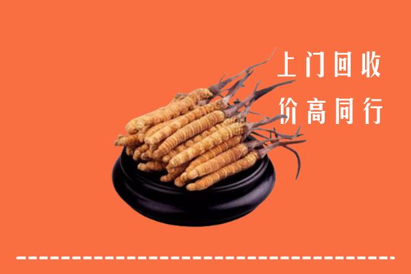 高价求购：同德县回收散虫草