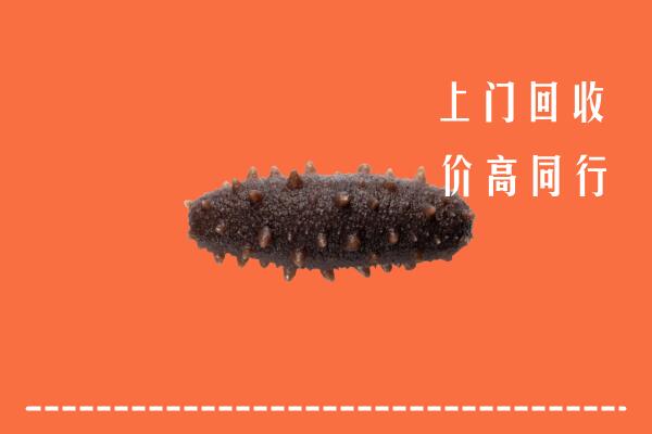 同德县回收海参