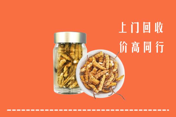 同德县回收冬虫夏草